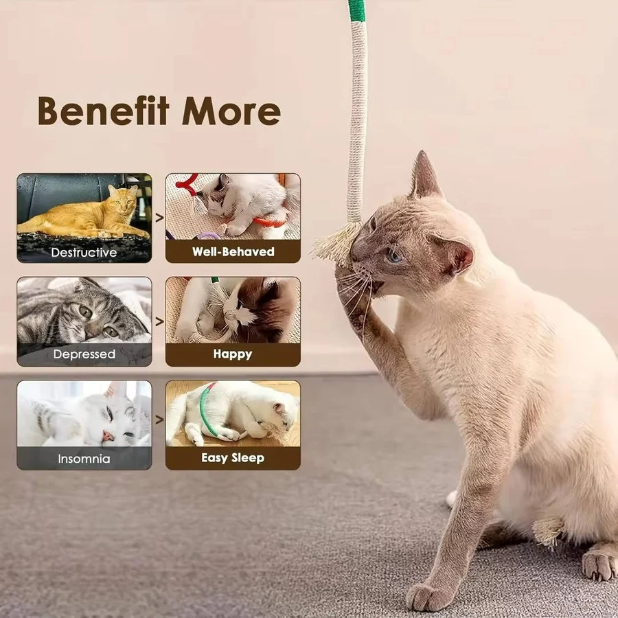 Durable Cat Chew Toys for Playful Kittens - Engaging Dental Chews for Healthy Teeth & Fun Playtime