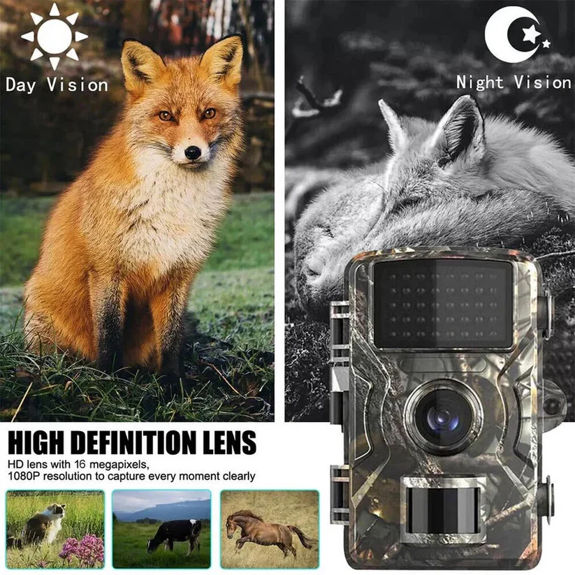 High-Definition Night Vision Outdoor Wildlife Camera - Motion Activated, Waterproof, Infrared for Wildlife Observation