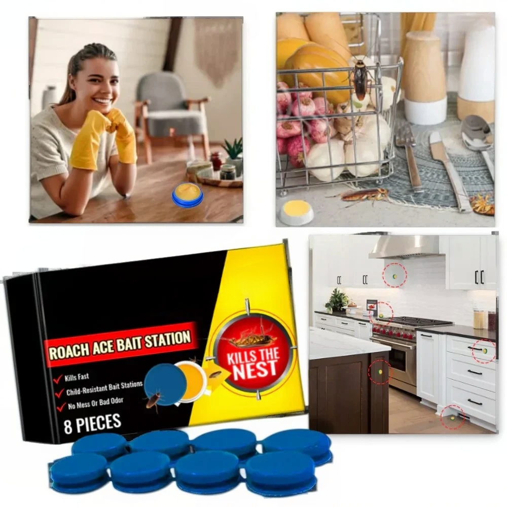 Odorless Cockroach Traps - Effective, Discreet Pest Control Solutions for Home & Office