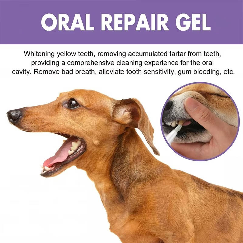 3-Pack Dog Oral Repair Gel - Effective Dental Care for Healthy Gums & Fresh Breath