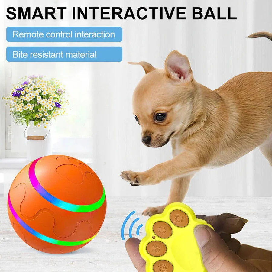 Interactive Dog & Cat Ball Toy - Engaging Pet Play Ball for Dogs and Cats - Stimulating Fun & Exercise