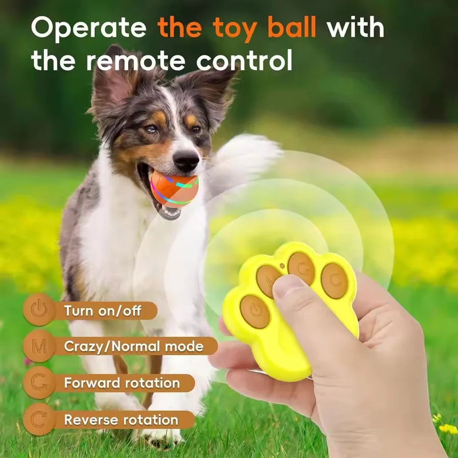 Interactive Dog & Cat Ball Toy - Engaging Pet Play Ball for Dogs and Cats - Stimulating Fun & Exercise