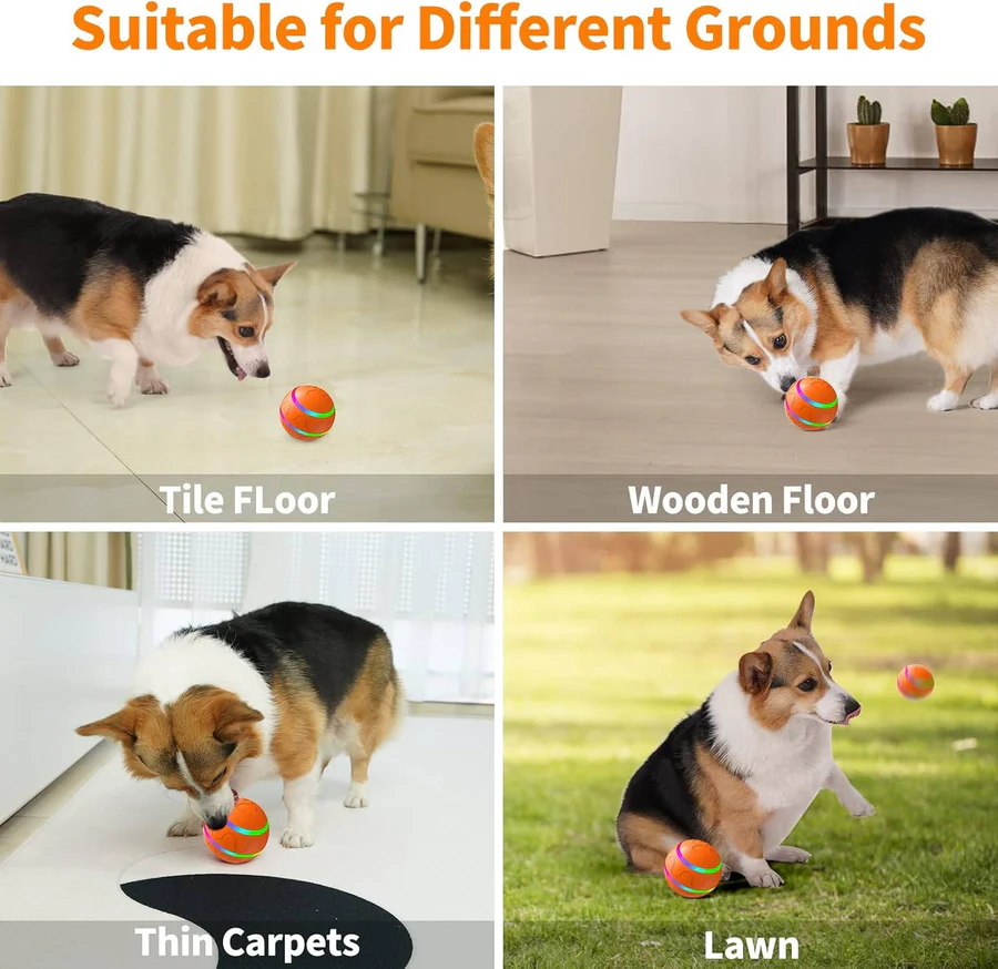 Interactive Dog & Cat Ball Toy - Engaging Pet Play Ball for Dogs and Cats - Stimulating Fun & Exercise