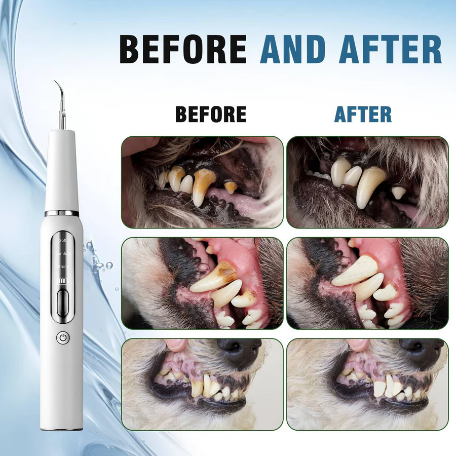 Dog Plaque Remover - Effective Tartar & Calculus Control for Healthy Teeth