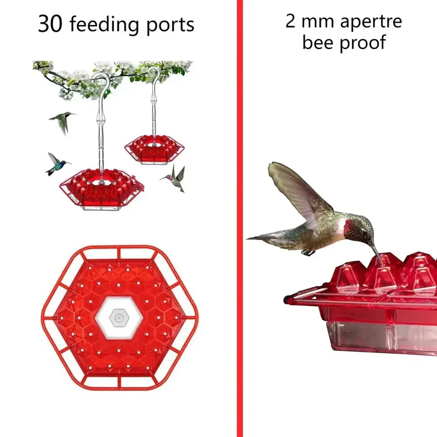 Leak-Proof Hanging Hummingbird Feeder with Ant Guard & Comfortable Perch - Ideal for Attracting Hummingbirds