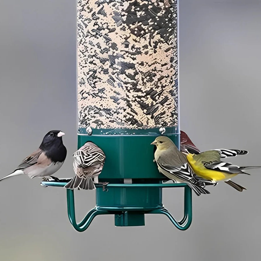 Squirrel-Proof Bird Feeder - Durable, Weather-Resistant Design for Wild Birds - Easy to Fill & Clean - Ideal for Backyard Birdwatching