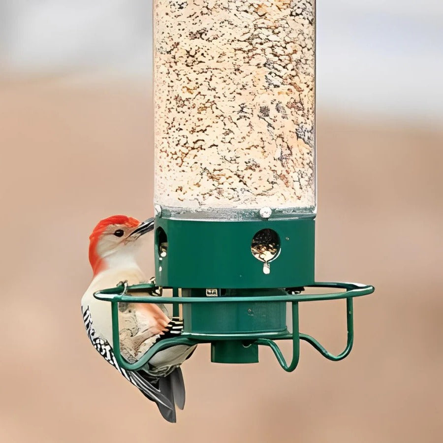 Squirrel-Proof Bird Feeder - Durable, Weather-Resistant Design for Wild Birds - Easy to Fill & Clean - Ideal for Backyard Birdwatching