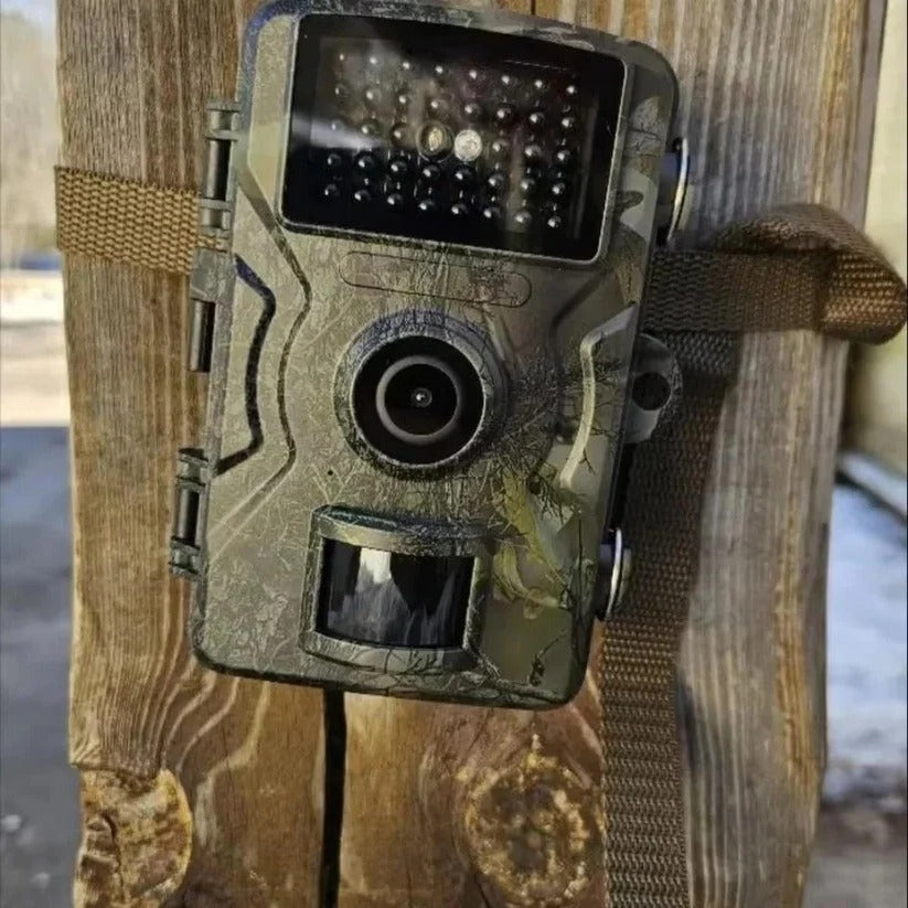 High-Definition Night Vision Outdoor Wildlife Camera - Motion Activated, Waterproof, Infrared for Wildlife Observation