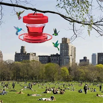Bee-Proof Hanging Hummingbird Feeder with Perch - Durable Water Reservoir for Outdoor Bird Feeding