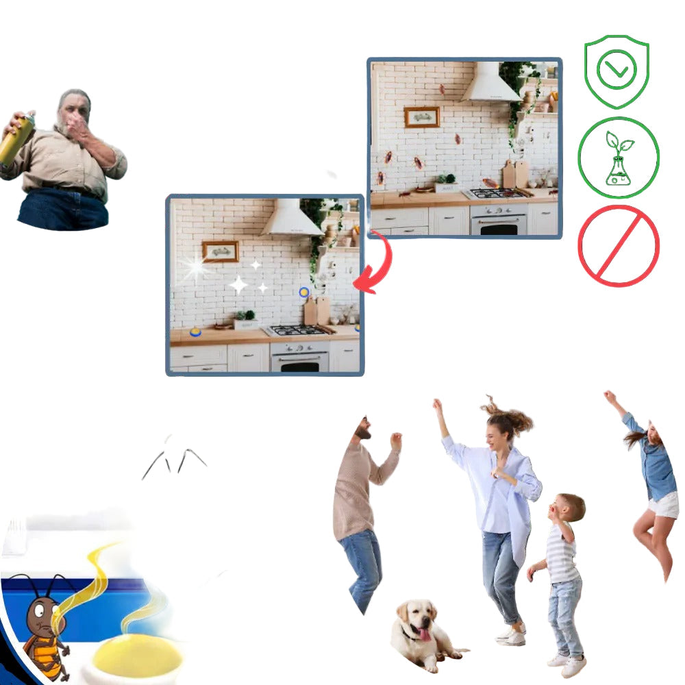Odorless Cockroach Traps - Effective, Discreet Pest Control Solutions for Home & Office