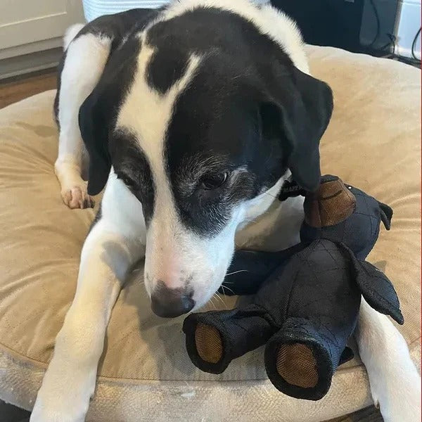 Durable Chew-Resistant Interactive Bear Dog Toy for Heavy Chewers - Perfect for Aggressive Chewing & Playtime Fun