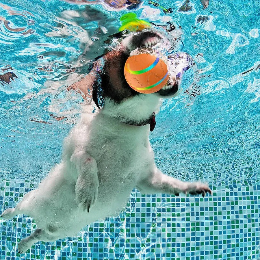 Interactive Dog & Cat Ball Toy - Engaging Pet Play Ball for Dogs and Cats - Stimulating Fun & Exercise