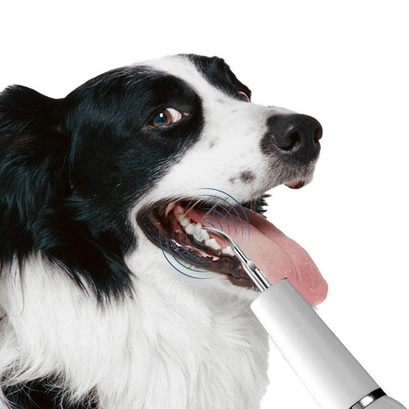 Dog Plaque Remover - Effective Tartar & Calculus Control for Healthy Teeth