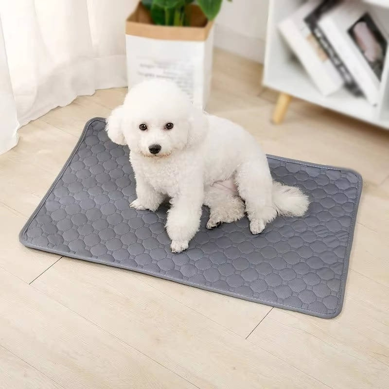 Premium Disposable & Reusable Dog Pee Pads - Super Absorbent, Leak-Proof, and Odor Control for Easy Clean-Up
