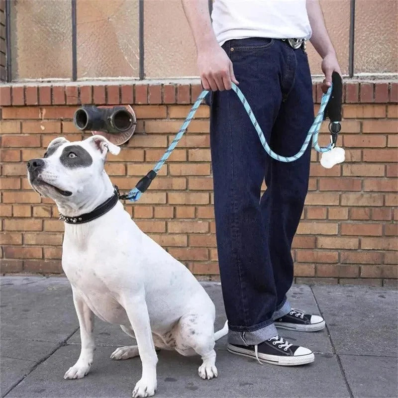 Reflective Dog Leash with Padded Handle for Comfort & Safety - Durable, Adjustable Length, Perfect for Night Walks