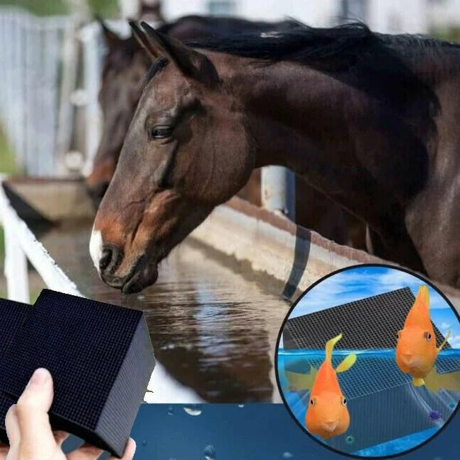 Eco-Friendly Bio Cube Water Purifier for Livestock & Aquariums – Ensures Clean, Clear Water for Healthy Habitats