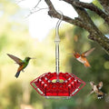 Leak-Proof Hanging Hummingbird Feeder with Ant Guard & Comfortable Perch - Ideal for Attracting Hummingbirds