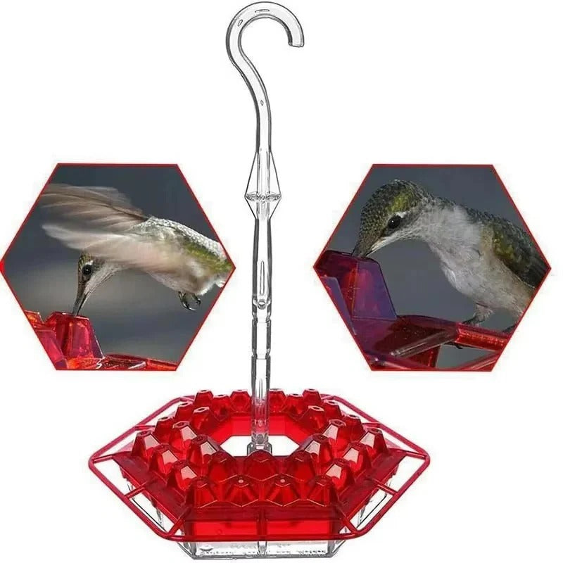 Leak-Proof Hanging Hummingbird Feeder with Ant Guard & Comfortable Perch - Ideal for Attracting Hummingbirds