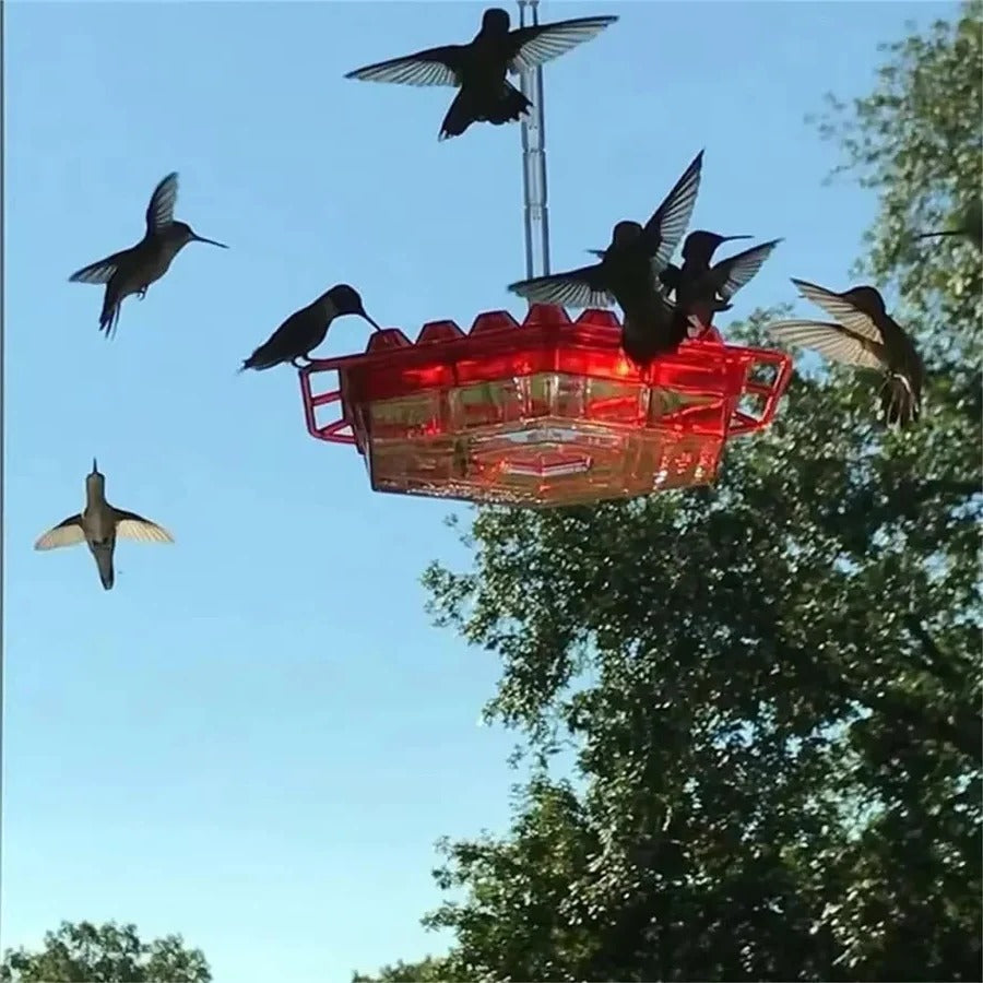 Leak-Proof Hanging Hummingbird Feeder with Ant Guard & Comfortable Perch - Ideal for Attracting Hummingbirds
