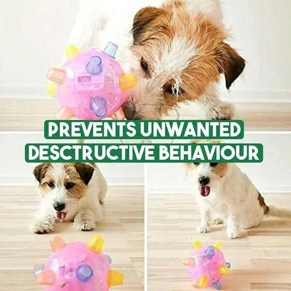 Interactive Jumping Activation Ball for Dogs - Bouncing Toy for Engaging Playtime & Exercise