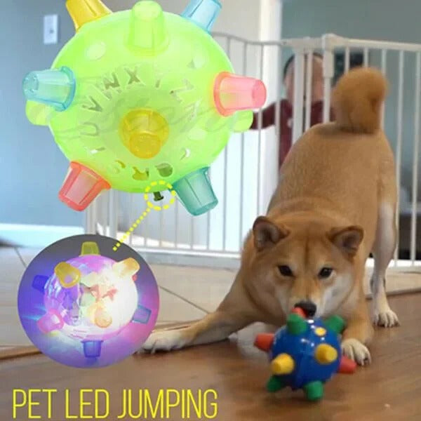 Interactive Jumping Activation Ball for Dogs - Bouncing Toy for Engaging Playtime & Exercise