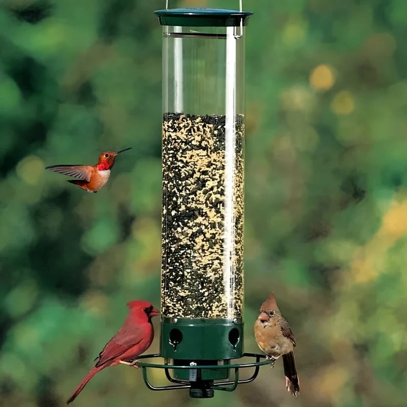 Durable Weather-Resistant Squirrel-Proof Bird Feeder for Outdoor Use - Ideal for Attracting Wild Birds