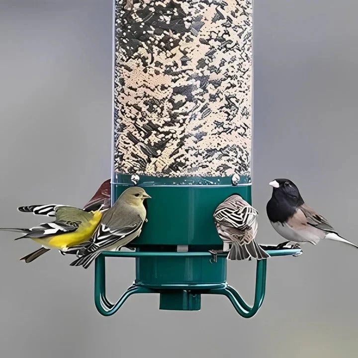Durable Weather-Resistant Squirrel-Proof Bird Feeder for Outdoor Use - Ideal for Attracting Wild Birds