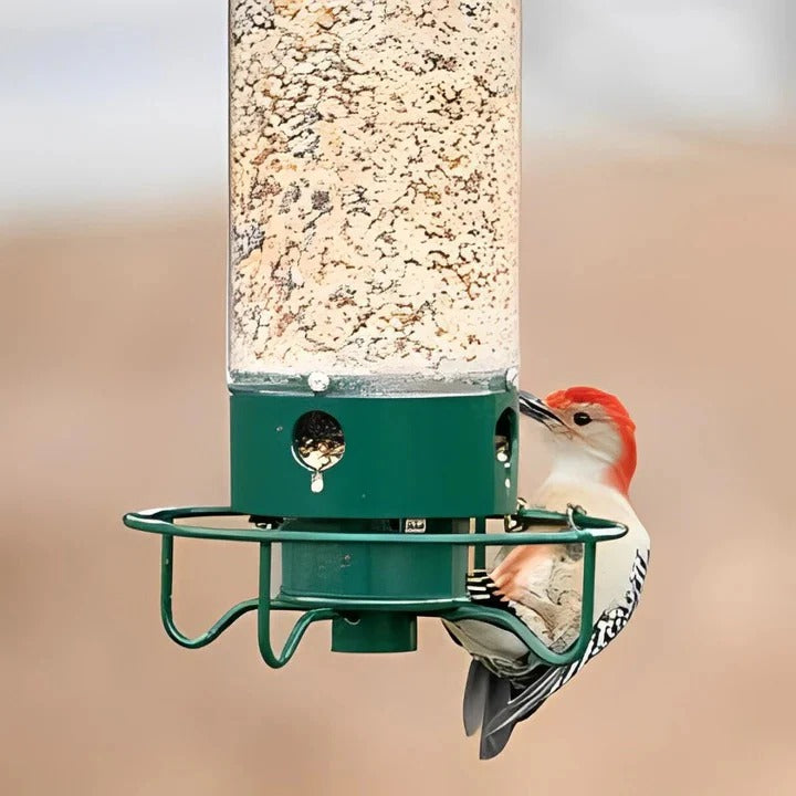 Durable Weather-Resistant Squirrel-Proof Bird Feeder for Outdoor Use - Ideal for Attracting Wild Birds