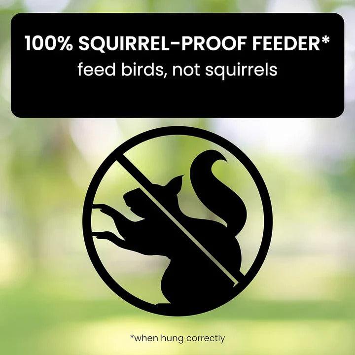 Durable Weather-Resistant Squirrel-Proof Bird Feeder for Outdoor Use - Ideal for Attracting Wild Birds