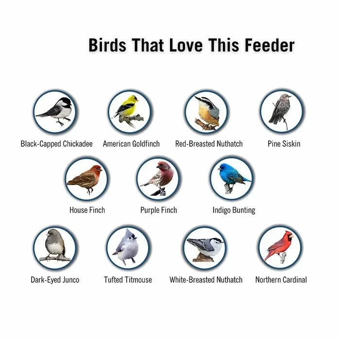 Durable Weather-Resistant Squirrel-Proof Bird Feeder for Outdoor Use - Ideal for Attracting Wild Birds