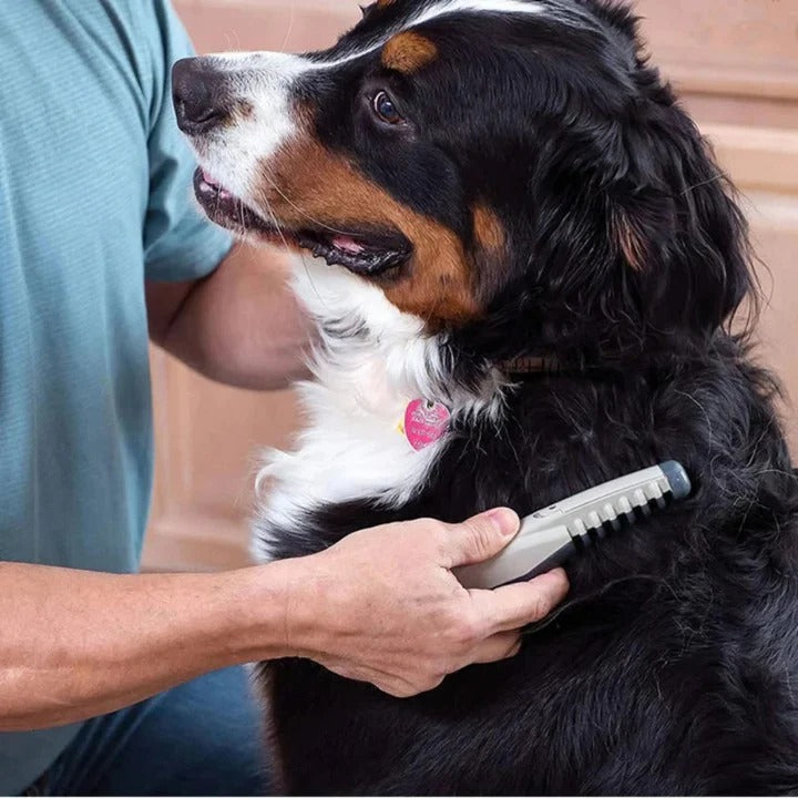 Anti-Tangle Pet Grooming Rake for Long-Haired Dogs - Effortless Dematting & Deshedding Tool