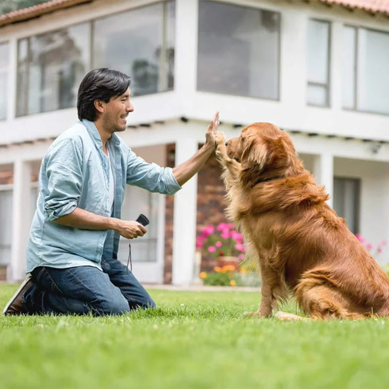 Humane Ultrasonic Bark Deterrent for Dogs - Outdoor Sound Device to Curb Excessive Barking