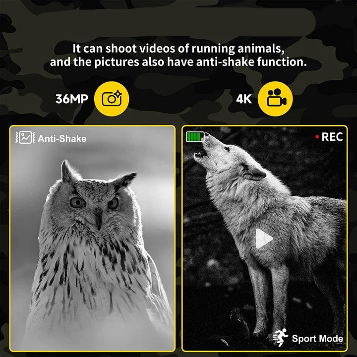 High-Performance Digital Night Vision Binoculars with Zoom - Perfect for Stargazing, Wildlife Observation, and Nighttime Adventures