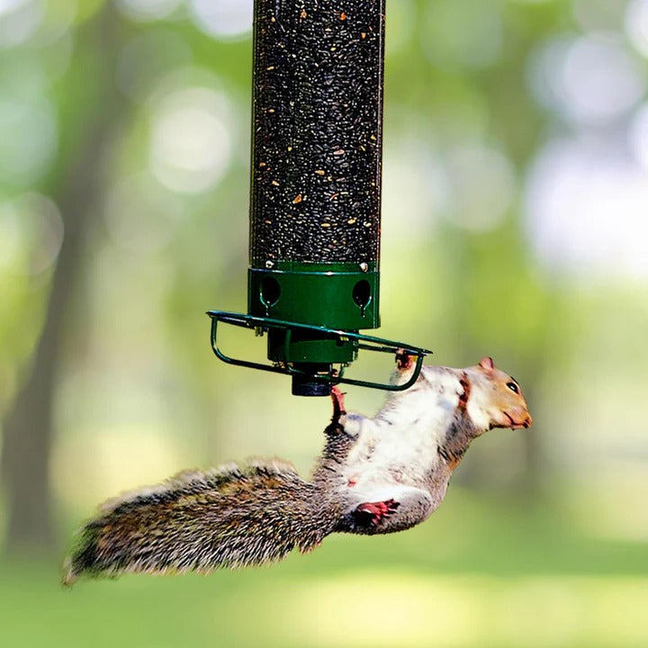 Squirrel-Proof Bird Feeder with Innovative Deterrent Features - Durable, Weather-Resistant Design for Backyard Birds