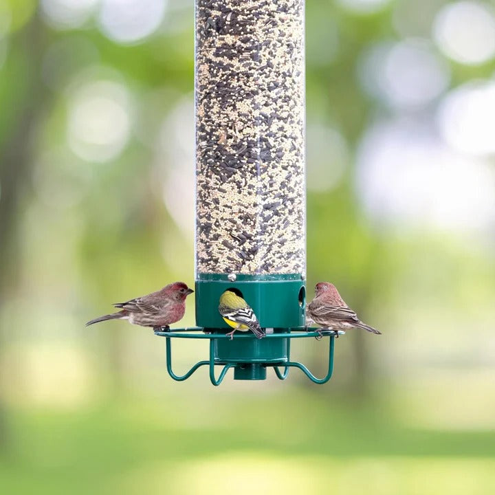 Squirrel-Proof Bird Feeder with Innovative Deterrent Features - Durable, Weather-Resistant Design for Backyard Birds