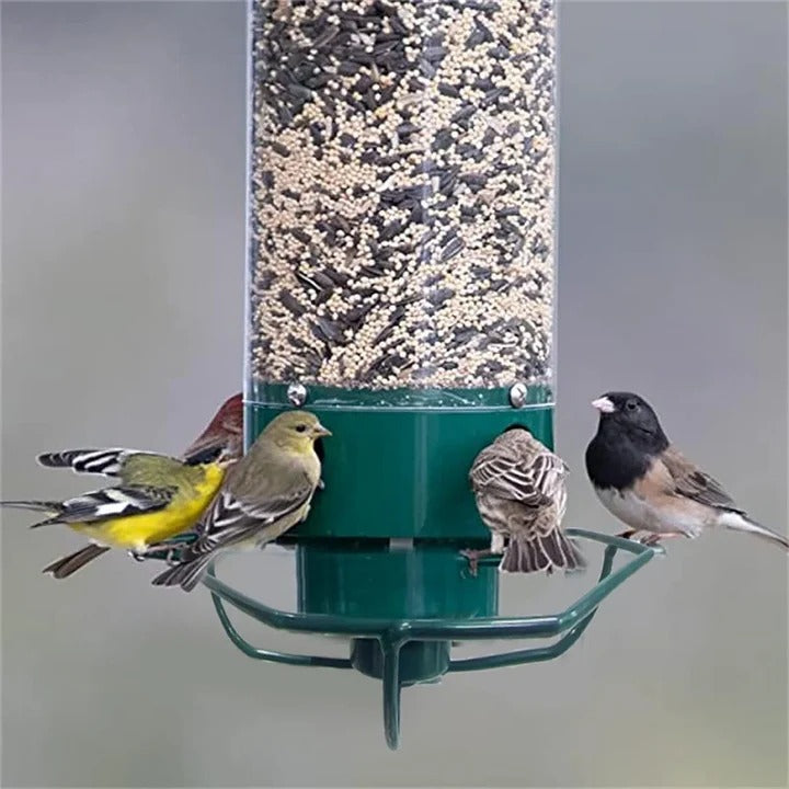 Squirrel-Proof Bird Feeder with Innovative Deterrent Features - Durable, Weather-Resistant Design for Backyard Birds