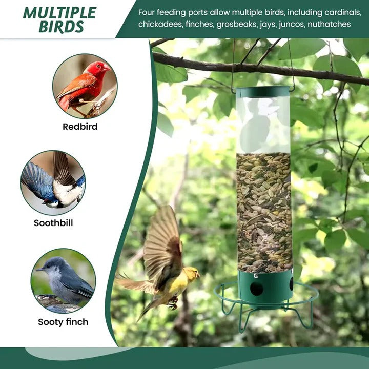 Squirrel-Proof Bird Feeder with Innovative Deterrent Features - Durable, Weather-Resistant Design for Backyard Birds