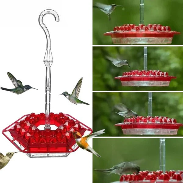 Premium Outdoor Hummingbird Feeder with Ant Moat - Durable, Easy to Clean, and Attracts More Birds!