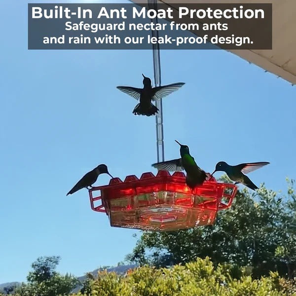 Premium Outdoor Hummingbird Feeder with Ant Moat - Durable, Easy to Clean, and Attracts More Birds!