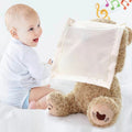 Peek-A-Boo Teddy Bear Plush Toy - Interactive Cuddly Stuffed Animal for Kids - Perfect Gift for Babies and Toddlers