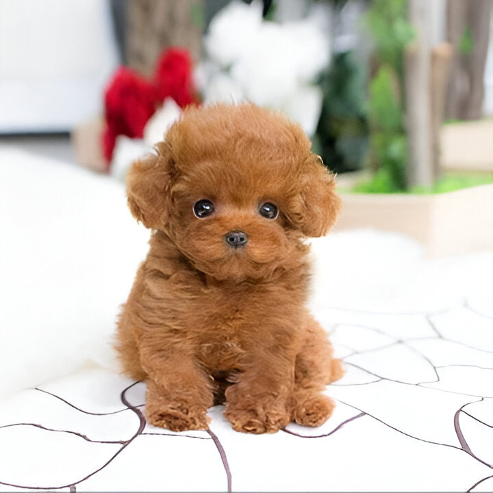 Soft Weighted Puppy Plush Toy - Realistic Synthetic Fur for Cuddly Comfort