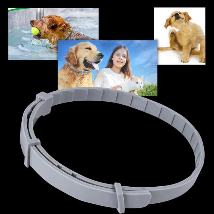 Adjustable Pest-Deterrent Pet Collar for Dogs & Cats - Comfortable & Durable Design