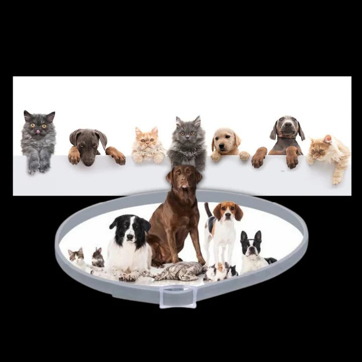 Adjustable Pest-Deterrent Pet Collar for Dogs & Cats - Comfortable & Durable Design