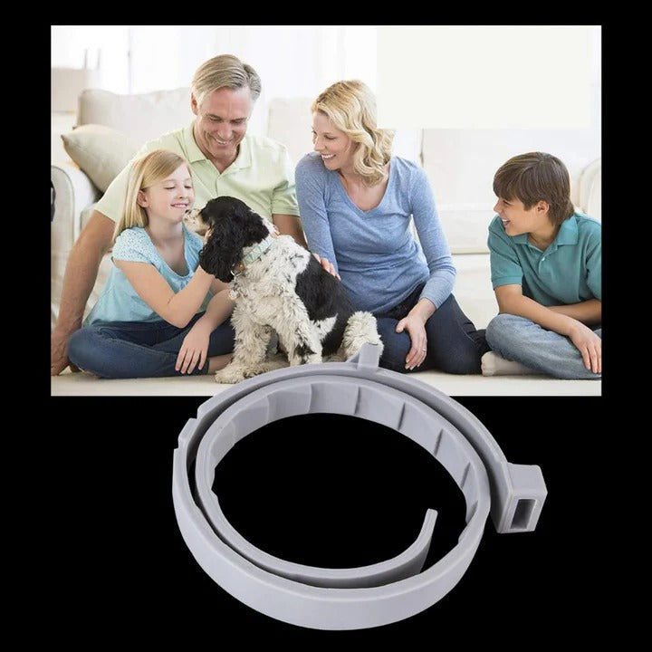 Adjustable Pest-Deterrent Pet Collar for Dogs & Cats - Comfortable & Durable Design