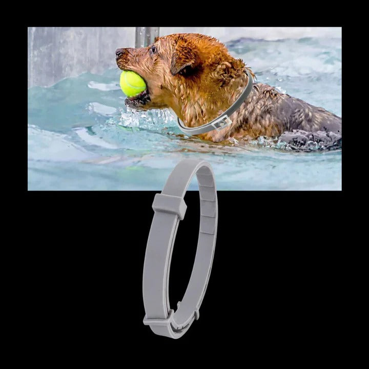 Adjustable Pest-Deterrent Pet Collar for Dogs & Cats - Comfortable & Durable Design
