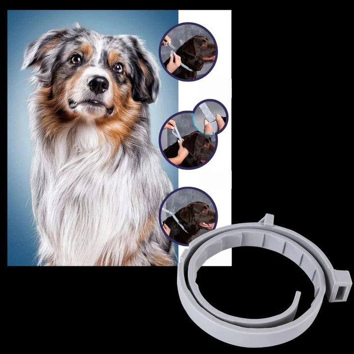 Adjustable Pest-Deterrent Pet Collar for Dogs & Cats - Comfortable & Durable Design