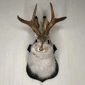 Unique Hanging Jackalope Wall Art - Whimsical Home Decor for Animal Lovers