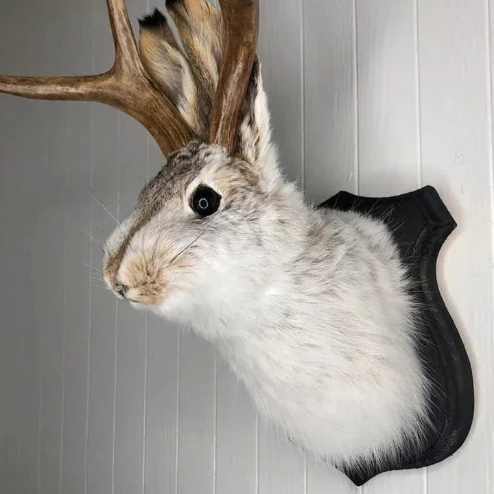 Unique Hanging Jackalope Wall Art - Whimsical Home Decor for Animal Lovers