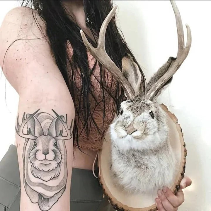Unique Hanging Jackalope Wall Art - Whimsical Home Decor for Animal Lovers