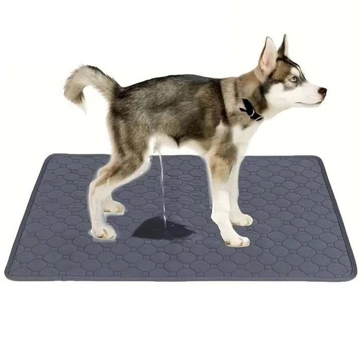 Reusable Dog Pee Pad - Four Layer Construction with TPU Base for Superior Absorbency and Leak Protection
